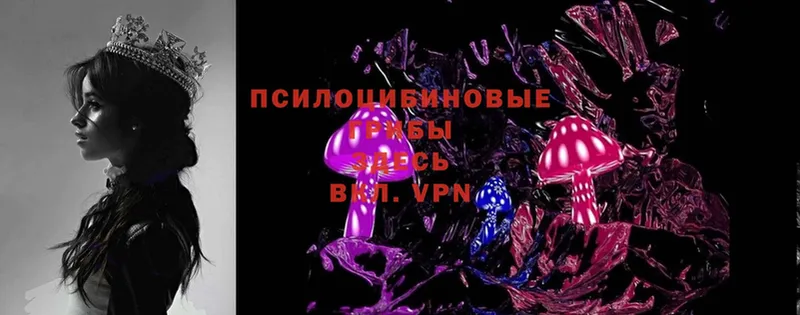 Галлюциногенные грибы MAGIC MUSHROOMS  Оса 